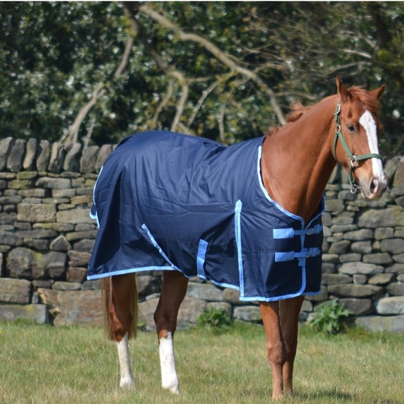 600d Navy Medium Weight Waterproof Horse Turnout Rug 200g Fill - 63" - Picture 1 of 12